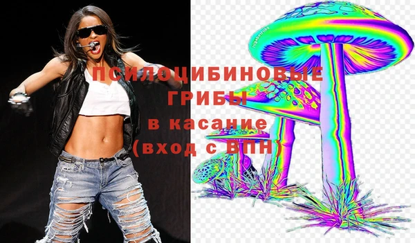 дживик Зерноград
