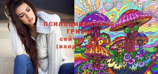 дживик Зерноград