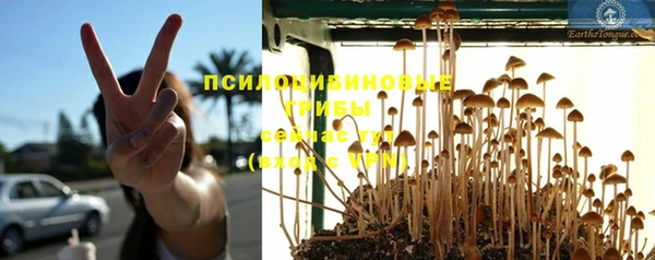дурь Зеленодольск