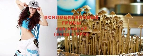дживик Зерноград